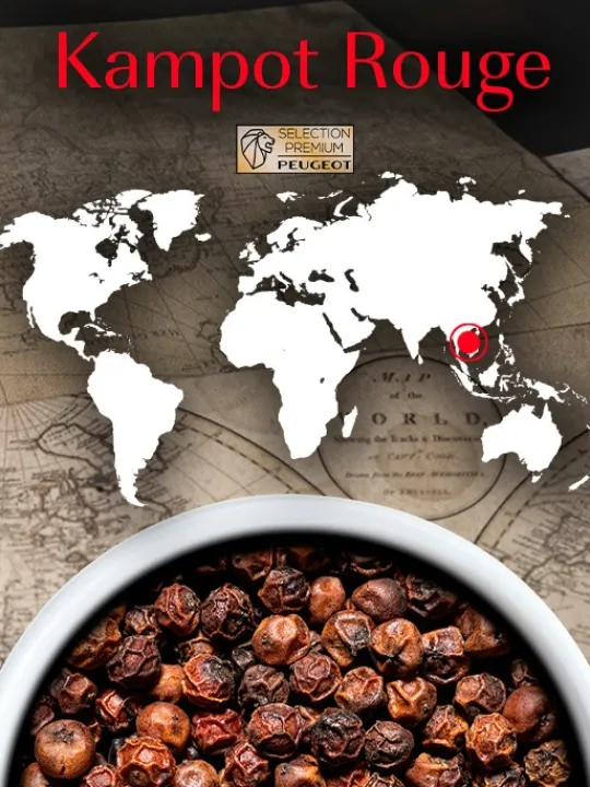 Peugeot Saveurs Multipack poivres premium Pack 3 poivres d'origine et 1 mélange exclusif -> Epices Du Monde