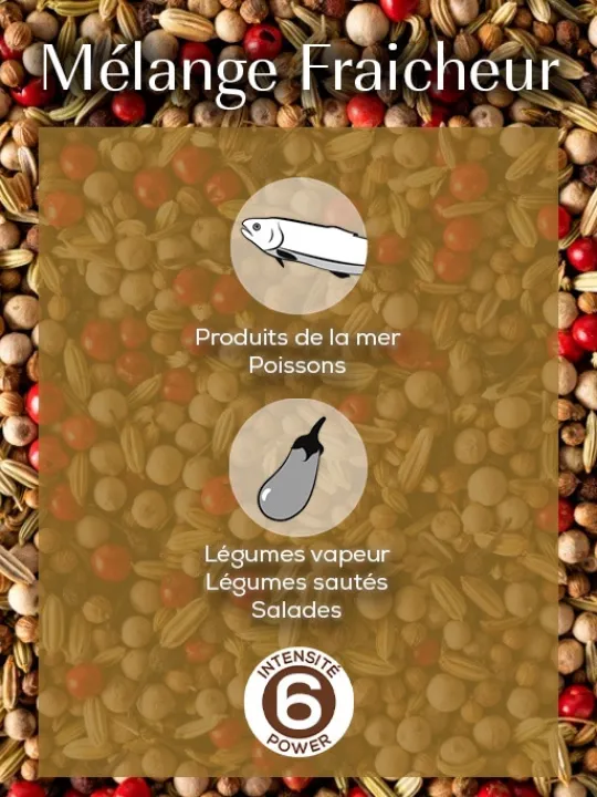 Peugeot Saveurs Multipack poivres premium Pack 3 poivres d'origine et 1 mélange exclusif -> Epices Du Monde
