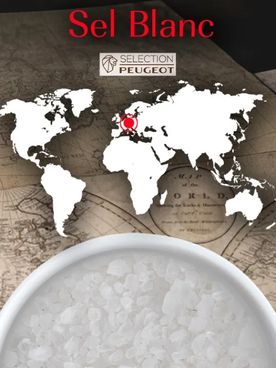 Peugeot Saveurs Sel blanc Gros sel blanc de cuisine d'allemagne, 350g - 7 sachets fraicheur de 50g -> Idées Cadeaux -50€|Epices Du Monde