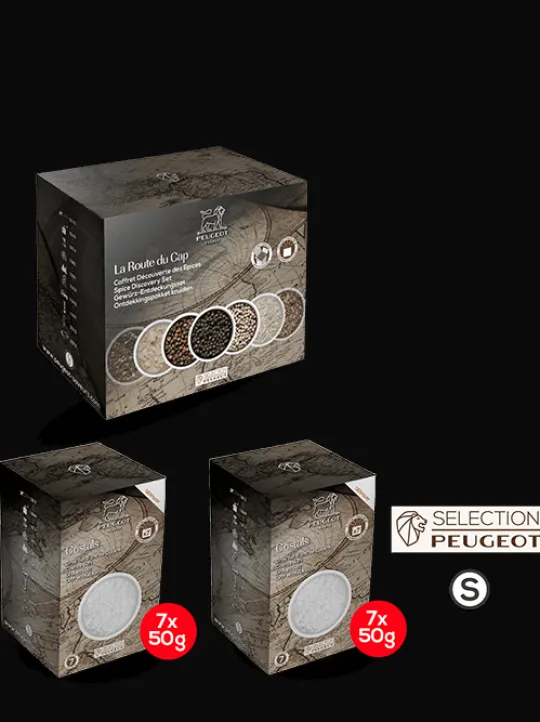 Peugeot Saveurs Sel blanc Pack de 2 étuis de gros sel de cuisine -> Idées Cadeaux -50€|Envie De Saveurs