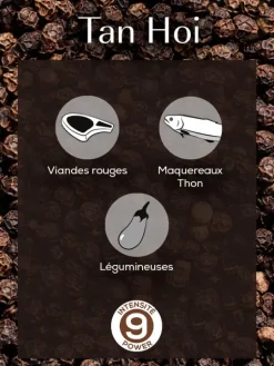 Peugeot Saveurs Tan hoi Poivre noir du vietnam, 140g - 7 sachets fraicheur de 20g -> Idées Cadeaux -50€|Epices Du Monde