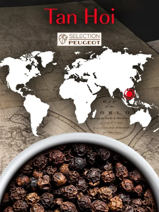 Peugeot Saveurs Tan hoi Poivre noir du vietnam, 140g - 7 sachets fraicheur de 20g -> Idées Cadeaux -50€|Epices Du Monde