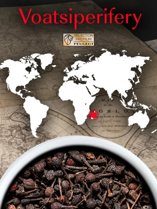 Peugeot Saveurs Voatsiperifery Poivre sauvage de madagascar, 60g - 3 sachets fraicheur de 20g -> Idées Cadeaux -50€|Envie De Saveurs